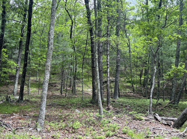 Tbd Ny-28a, West Hurley, NY 12491