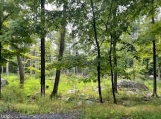 115 FALCON Crest, GREENTOWN, PA 18426