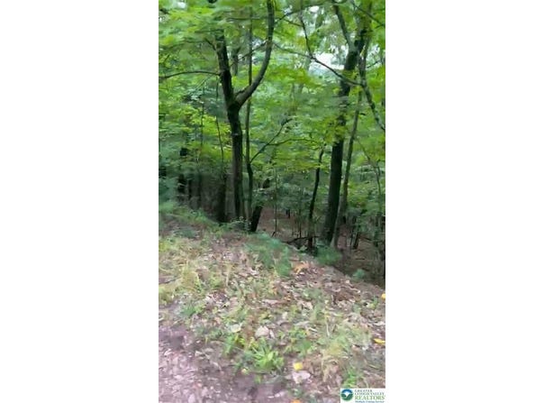 3018 Hickory Lane, Luzerne, PA 18655