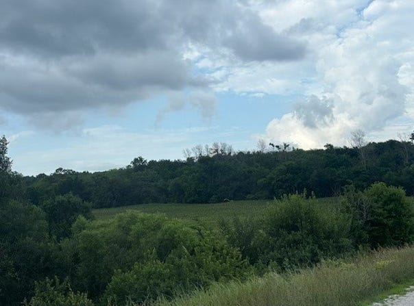 24769 490th Street, Chariton, IA 50049