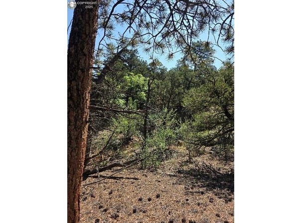 506 Kevin Drive, Cotopaxi, CO 81223