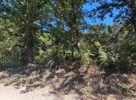 21N-4 sec 17 twp 23N Rng 3E, Doniphan, MO 63935