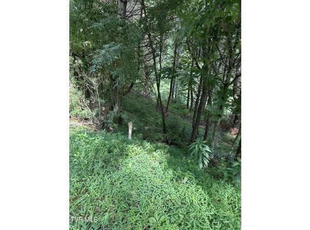 Lot 9 Laurelwood Lane, Mountain City, TN 37683