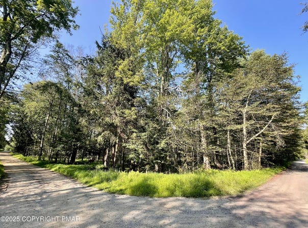 C/8 Bald Eagle Tr and Campfire Ln, Gouldsboro, PA 18424