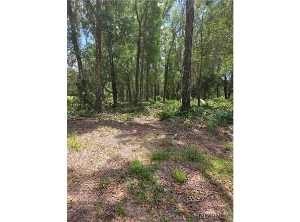 2235 W Main Street, Inverness, FL 34452