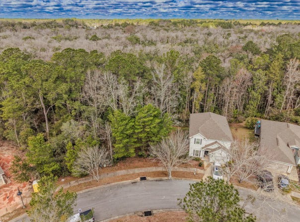 Lafayette Creek lot: 5, Freeport, FL 32439