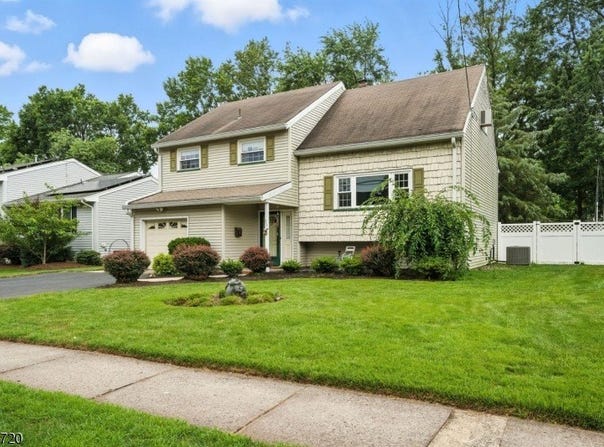 53 Sycamore St, Somerville Boro, NJ 08876-1752