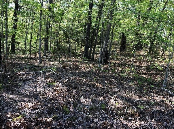Lot 10 Grampian  LN, Bella Vista, AR 72715