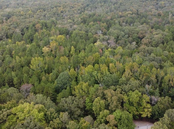 Heath Lane, Greenbrier, AR 72058