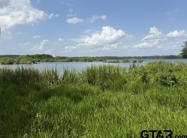 3196 Shadow Pine Dr, LaRue, TX 75770