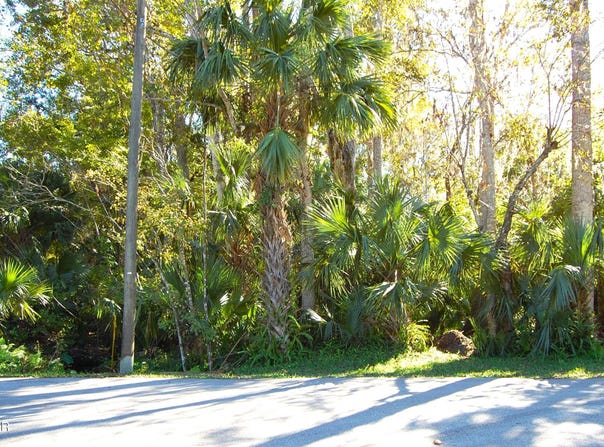 0 Palm Drive, New Smyrna Beach, FL 32168