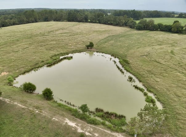 9 Acres County Road 670, Samson, AL 36477