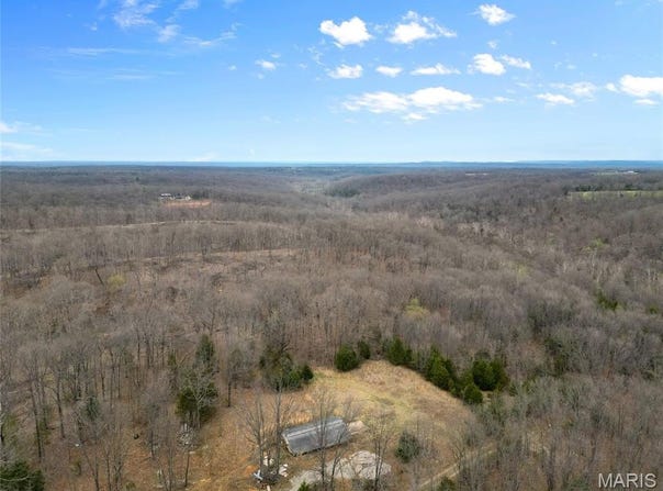 4700 Whippoorwill Ln, Festus, MO 63028