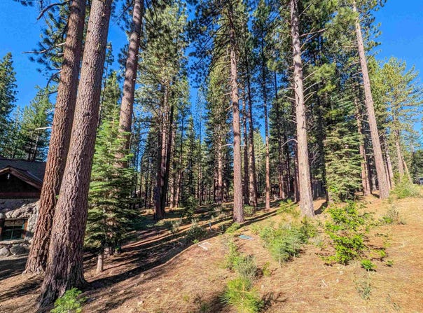 11561 Bottcher Loop, Truckee, CA 96161