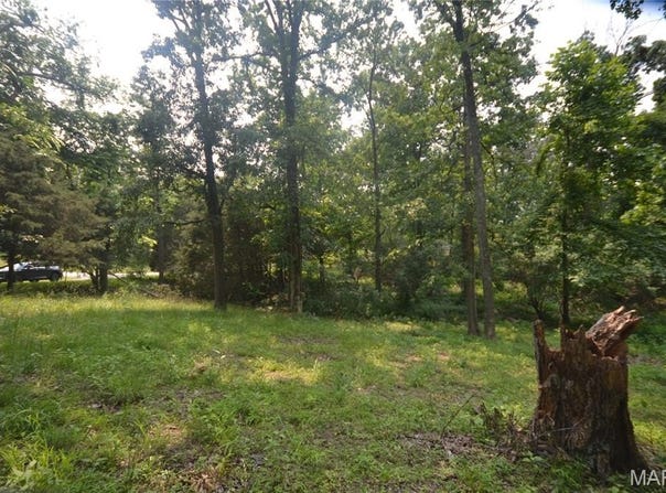 0000 McKinney Chapel Road, Marion, IL 62959
