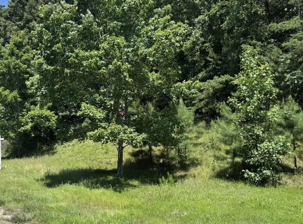 7425 DANBRIDGE LANE, OWINGS, MD 20736