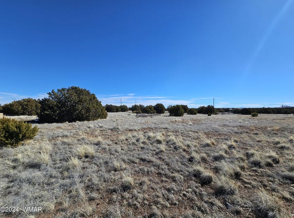 1968 Ridgeway Road, Show Low, AZ 85901
