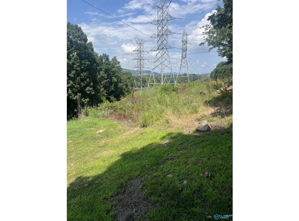 1.12 acres Savory Drive, Scottsboro, AL 35769