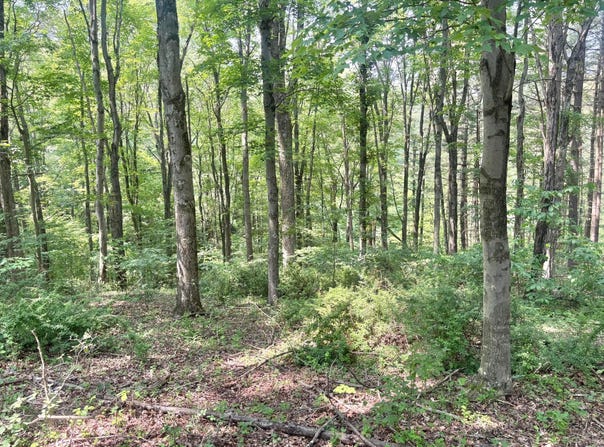 546 Edgehill Circle, Logan, OH 43138