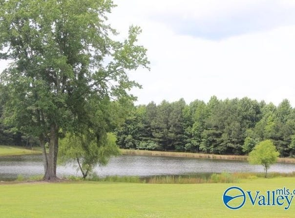 139 County Road 638, Pisgah, AL 35765