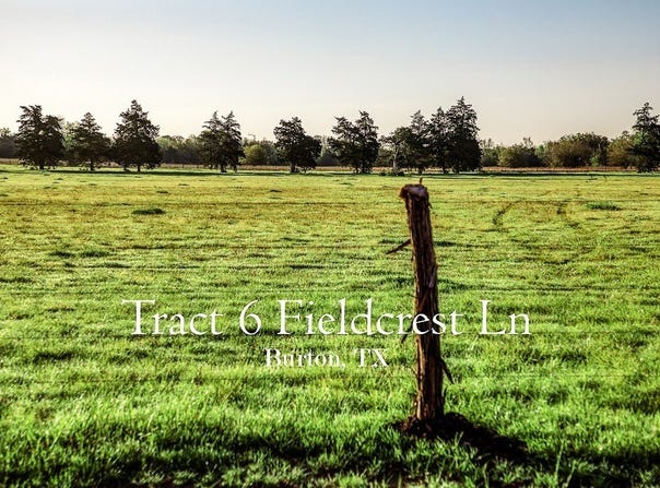 Tract 6 Fieldcrest Ln, Burton, TX 77835