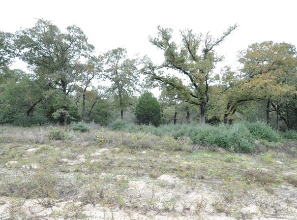 OakView Ln, Thrall, TX 76578