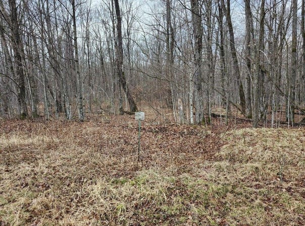 On LAKE WINTER RD, Winter, WI 54896