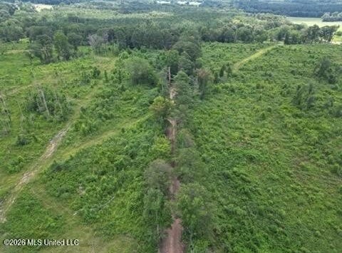 H H Buckley Road, Mendenhall, MS 39114