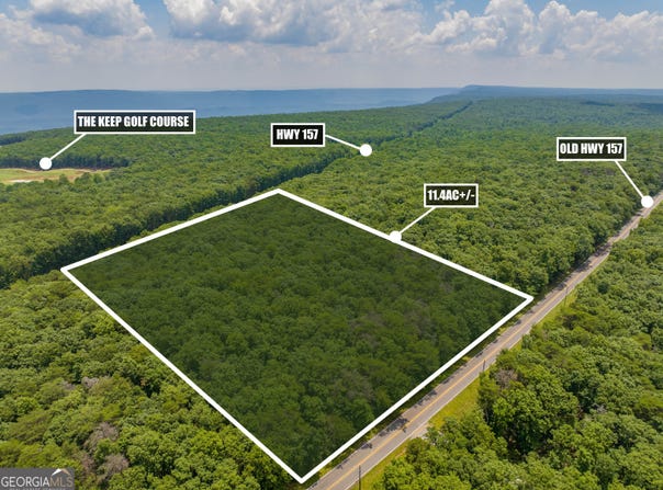 0 157 Highway GA, Menlo, GA 30731