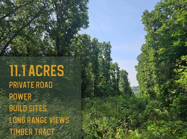 0 Private Drive Off Yy, Norwood, MO 65717
