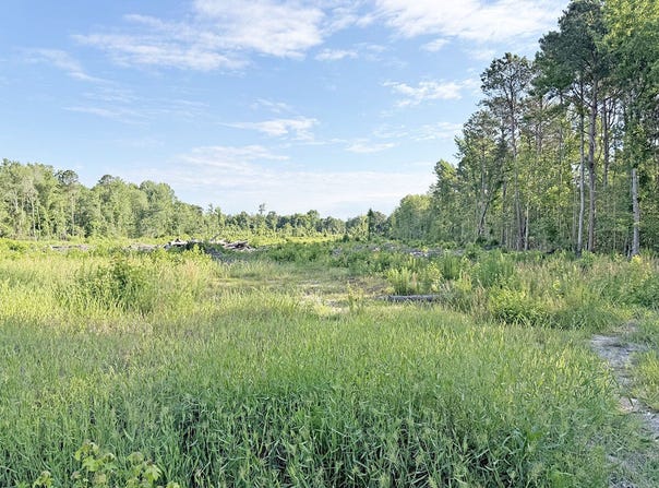 McCall's Millpond Rd, Bennettsville, SC 29512