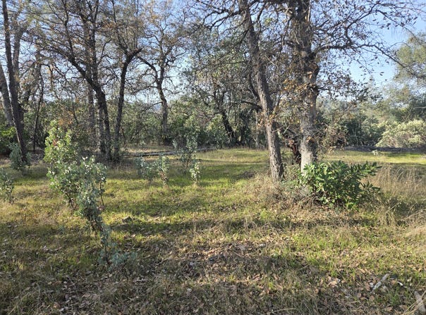 Lake Boulevard, Redding, CA 96002