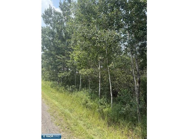 TBD S PEARY DRIVE, Eveleth, MN 55746-0000