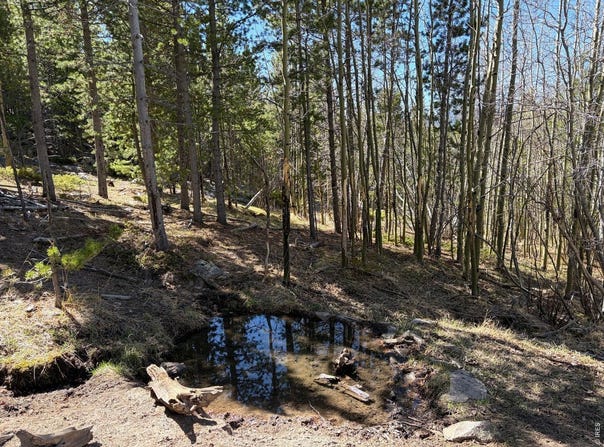Bear Gulch Rd, Red Feather Lakes, CO 80545
