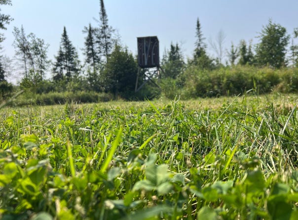 On SAINDON RD, Tomahawk, WI 54487