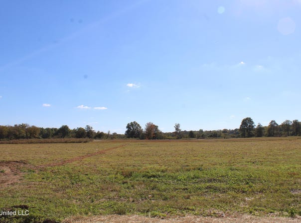 37 Pin Oak Road, Michigan City, MS 38647