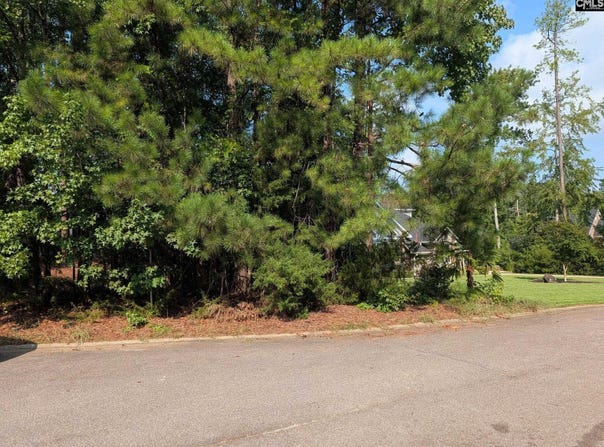 614 Golf Links Court, Chapin, SC 29036
