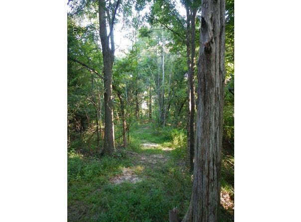 330 Honeycutt Road, Yazoo City, MS 39194