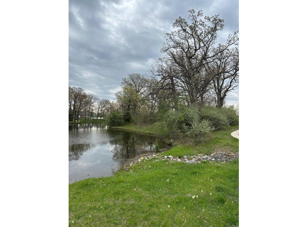 778 Ronny Court, Crown Point, IN 46307