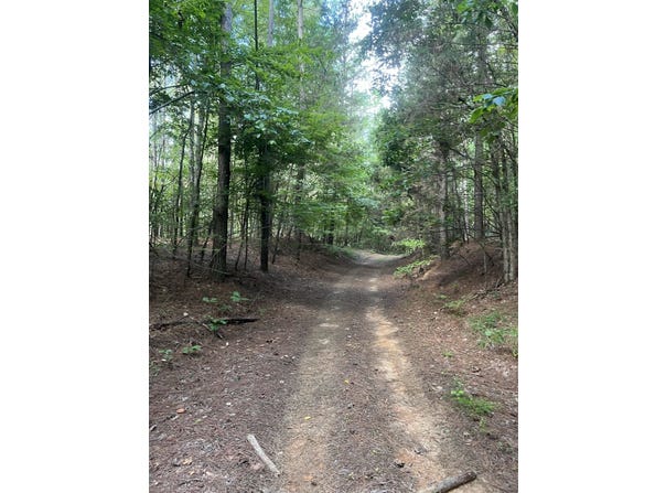 S COUNTY ROAD 437, Ripley, MS 38663