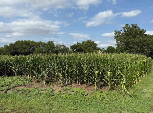SW 53rd St, Topeka, KS 66610