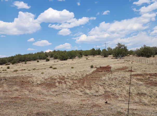 2544 N Double A Rnch Road, Ash Fork, AZ 86320