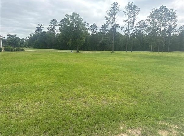 30684 BLUE WING CRESENT lot: 45, Springfield, LA 70462