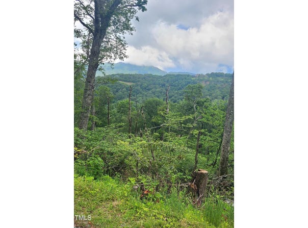 266 Little Sugar Lane, Sugar Mountain, NC 28604
