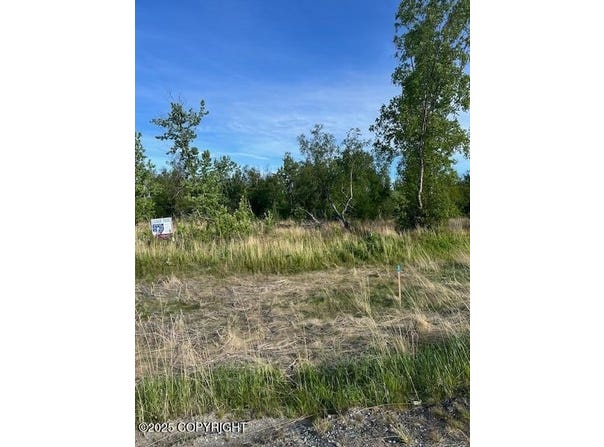 1383 N Cedar Hls Drive, Palmer, AK 99645