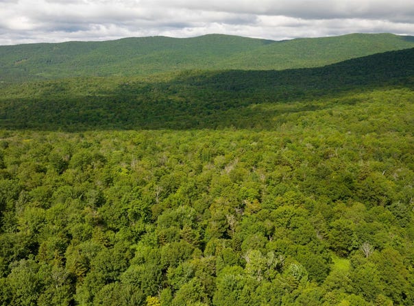 Albin Hill, Bethel, VT 05060