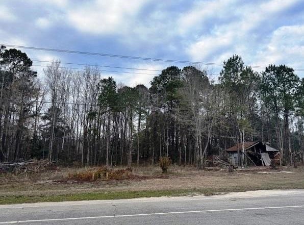 8199 Moses Dingle Road, Manning, SC 29102