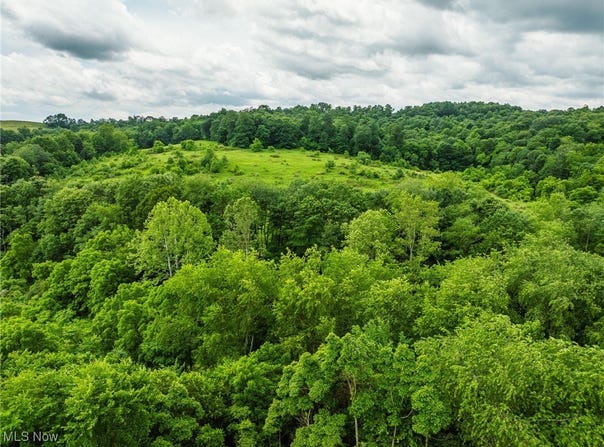 Township Road 219, Fresno, OH 43824