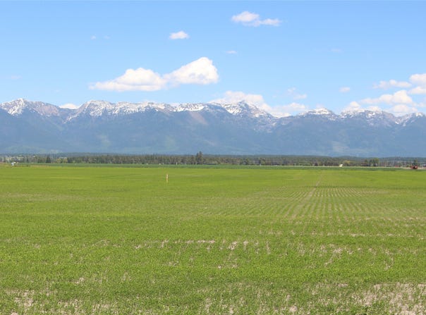 nhn Farm Road, Kalispell, MT 59901