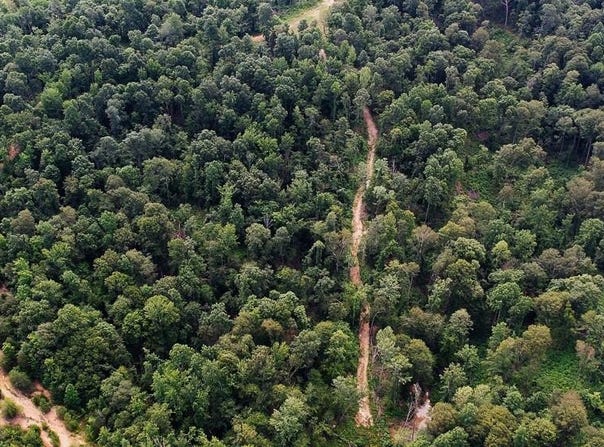 Tract 3 Cook Lane, Cromwell, KY 42333
